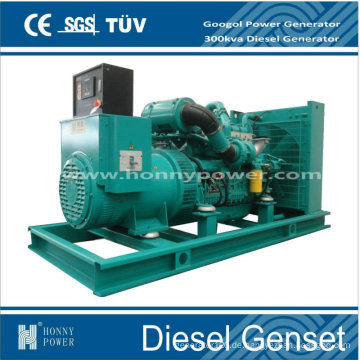 Beliebte 300kVA Radiator Generator Set